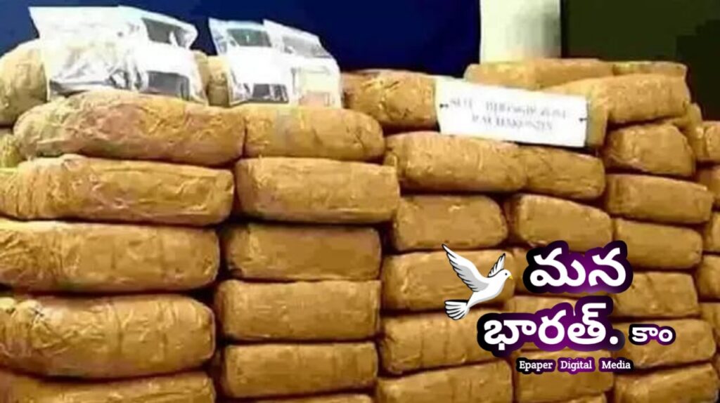 908 కేజీల గంజాయి పట్టివేత