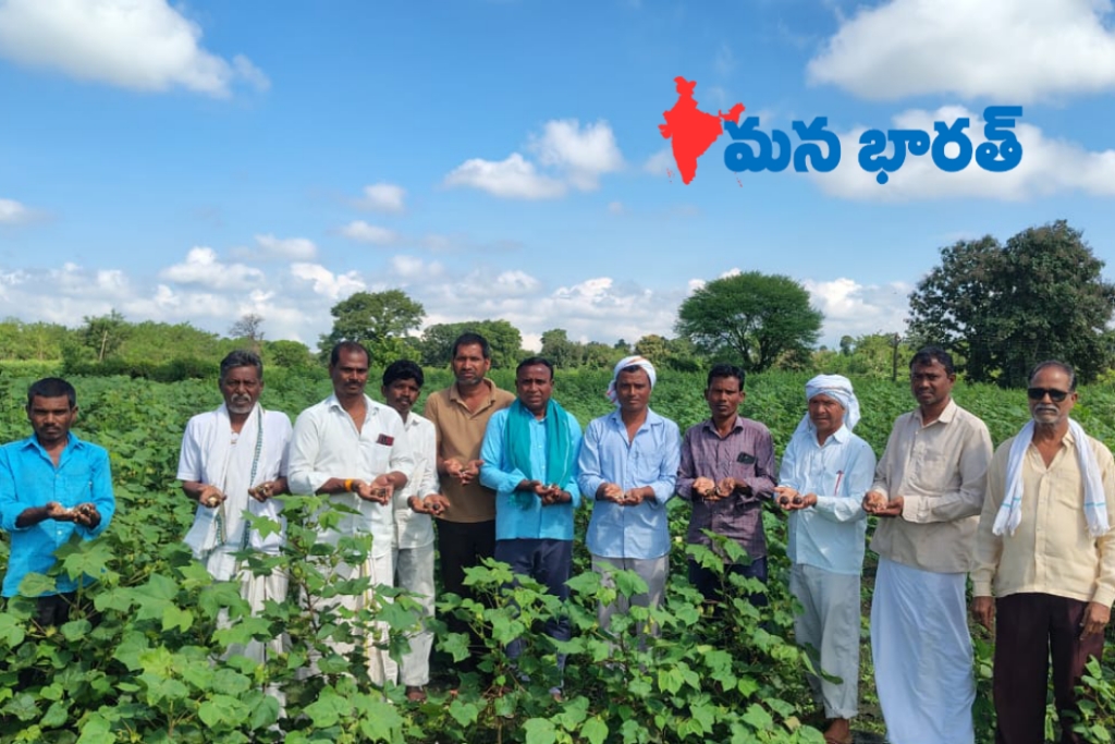 కపాస్ రైతుల కష్టం తీరేనా..?