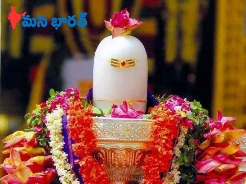 శివలింగాన్ని  ఇంట్లో పెట్టుకోవచ్చా..!