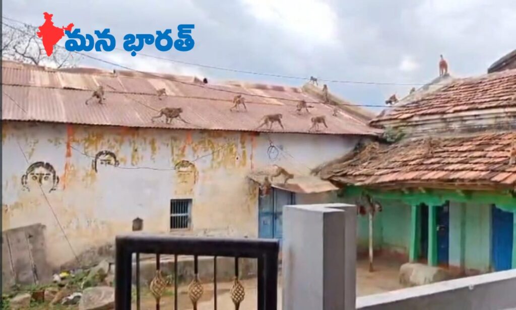 🐒 కోతుల బెడద.. గ్రామస్తుల ఆవేదన