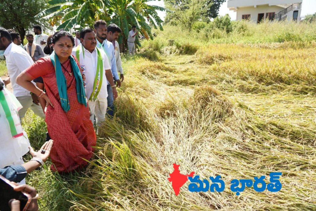 ఎకరాకు రూ.10 వేలు కాదు.. రూ.50 వేలు పరిహారం ఇవ్వాలి: కవిత