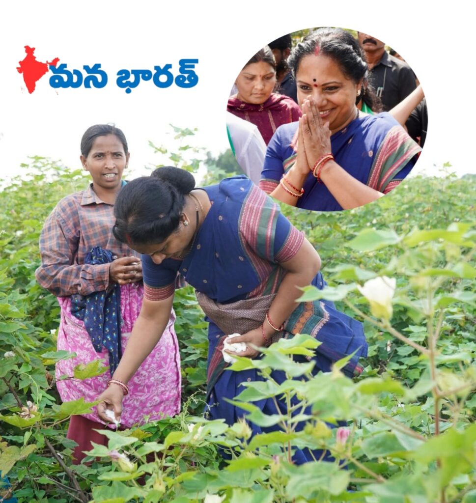 పత్తి రైతులకు తేమ పేరిట మోసం..