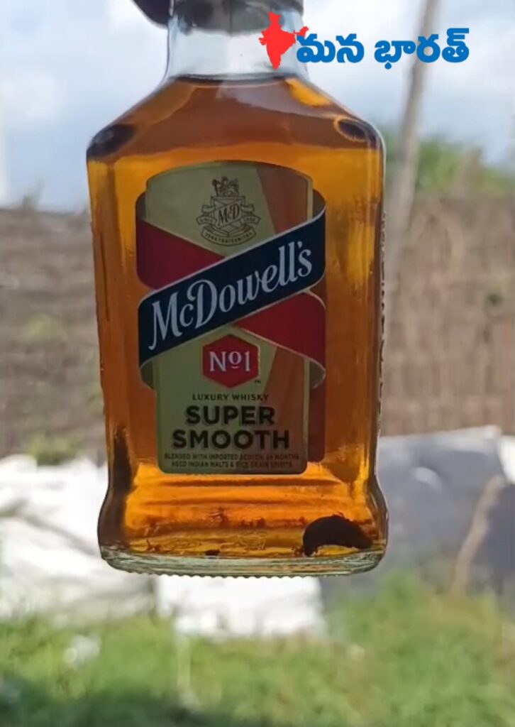 ఎంసీ బాటిల్‌లో నత్త కలకలం..