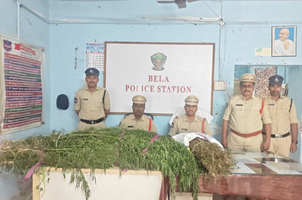 అక్రమంగా గంజాయి సాగు.. వ్యక్తి అరెస్ట్, రిమాండ్