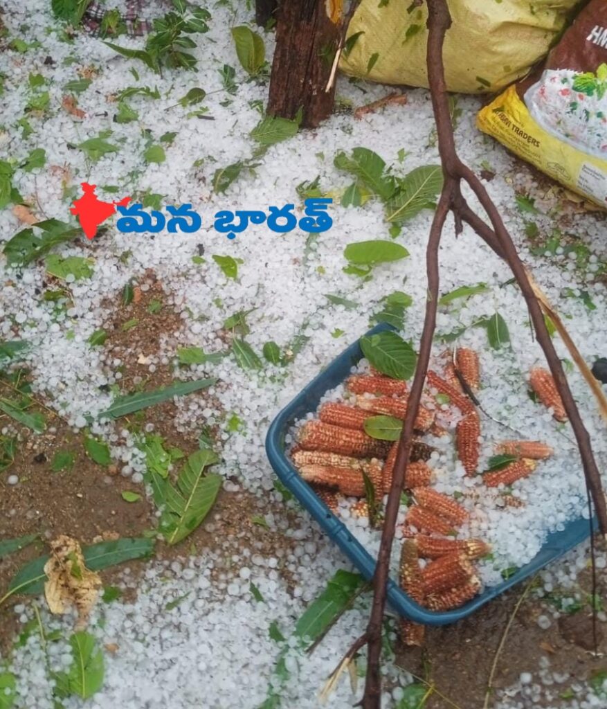 పంటలకు తీవ్ర నష్టం.. రైతుల ఆందోళన