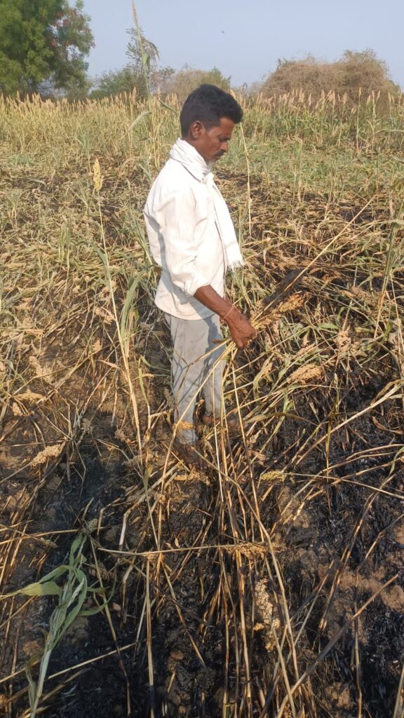 అగ్ని ప్రమాదంలో జొన్న పంట బూడిద..