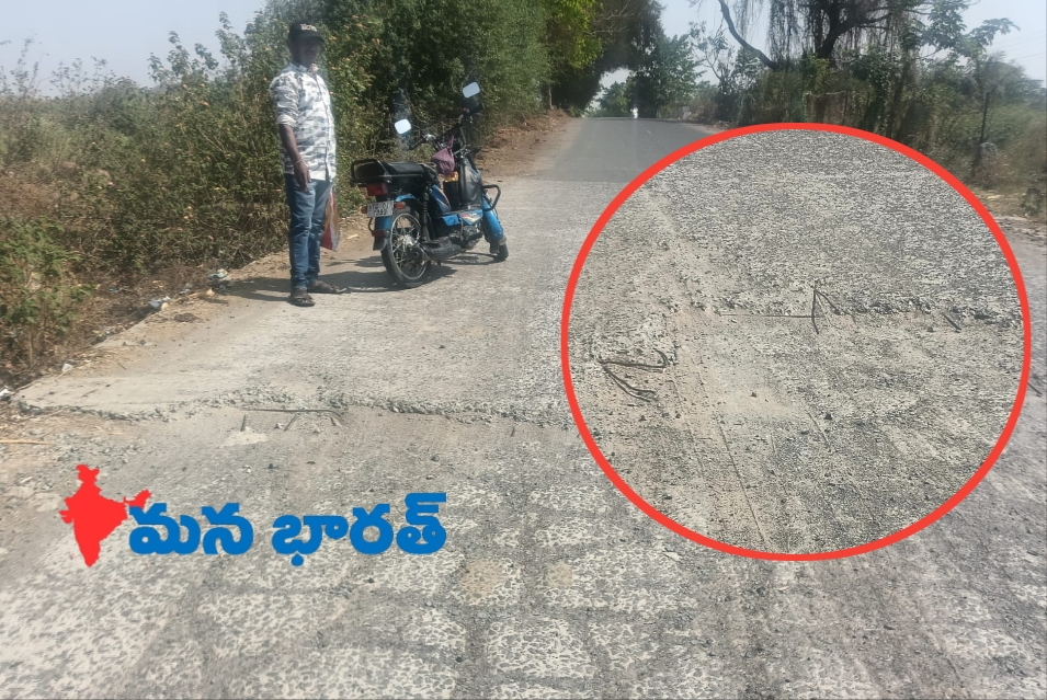 ప్రమాదకరంగా లో లేవల్ వంతెన..