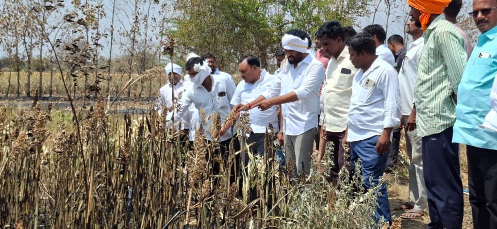 అగ్ని ప్రమాదంలో 80 ఎకరాలు దగ్ధం..