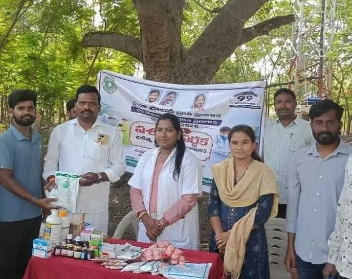 మేలు జాతి దూడల ప్రదర్శన..