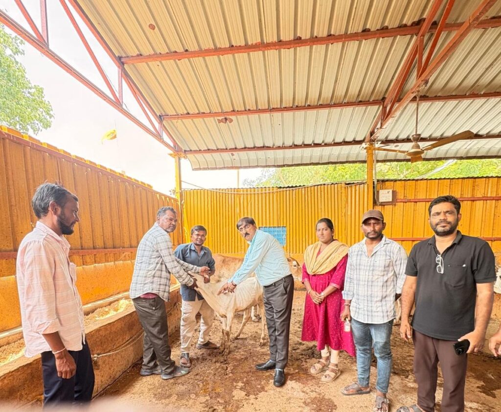 రాధే రాధే గోశాలలో టీకాలు..