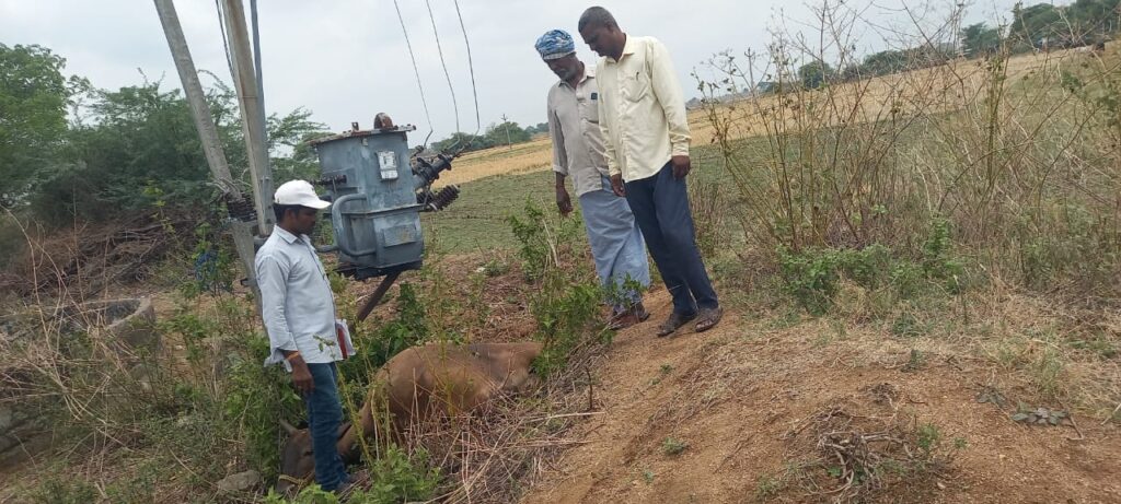 షార్ట్ సర్క్యూట్ పాలిచ్చే పాడి ఆవు మృతి..