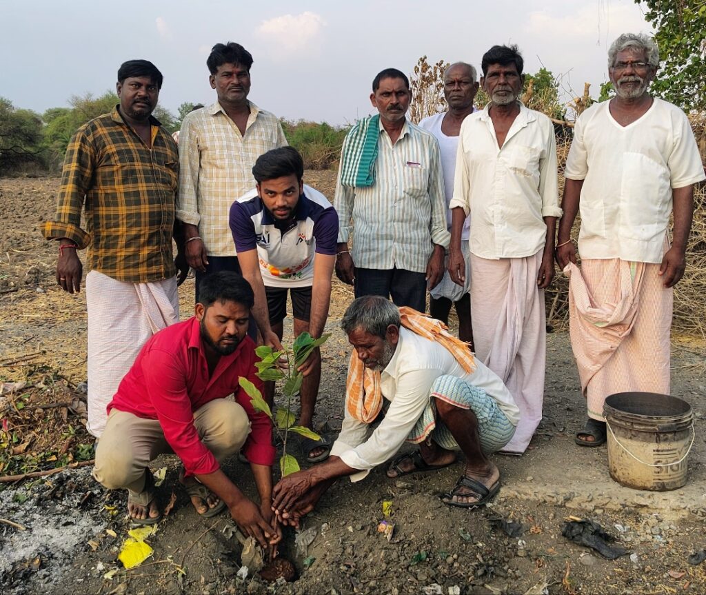 పుట్టినరోజులు.. పచ్చదన వేడుకలు