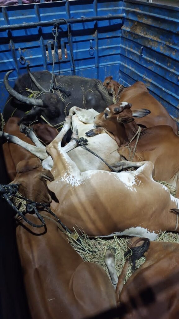 ఆ నలుగురు అరెస్ట్..