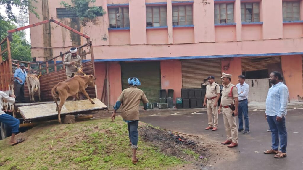 రోడ్లపై పశువులు వదిలితే కఠిన చర్యలు..