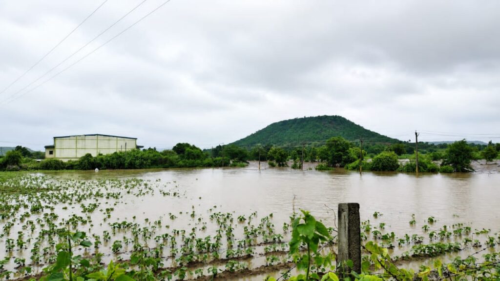 పంట నష్టంపై రైతుల ఆవేదన..