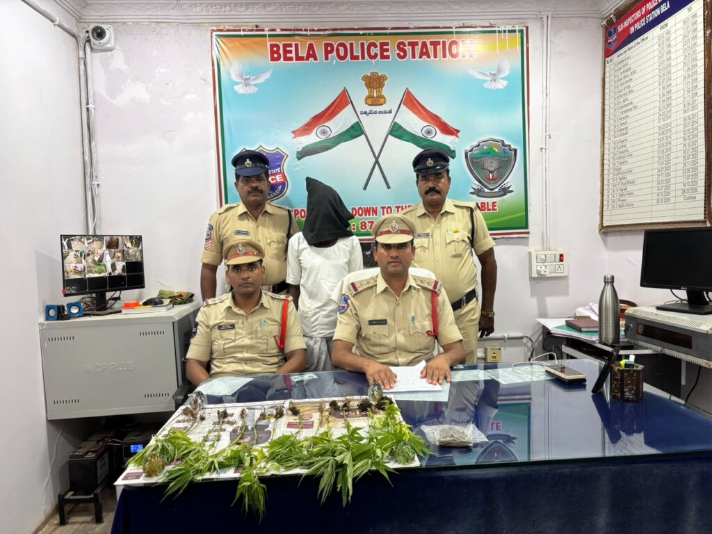 గంజాయి సాగు గుట్టురట్టు..