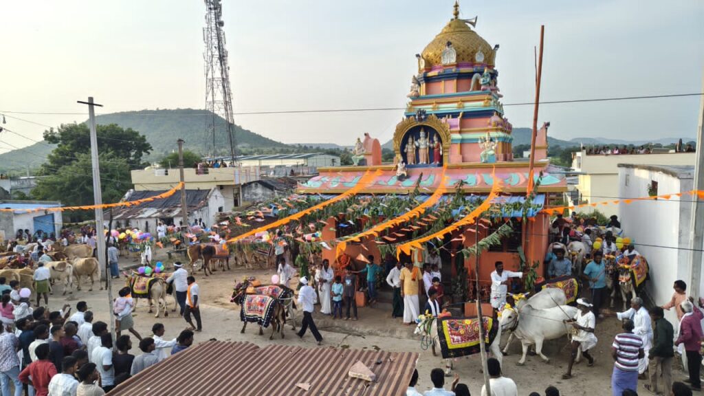 వైభవంగా పొలాల పండగ ఉత్సవాలు..