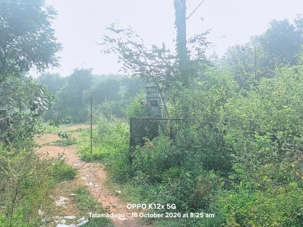 ముళ్ల పొదలతో విద్యుత్ సరఫరాకు అంతరాయం