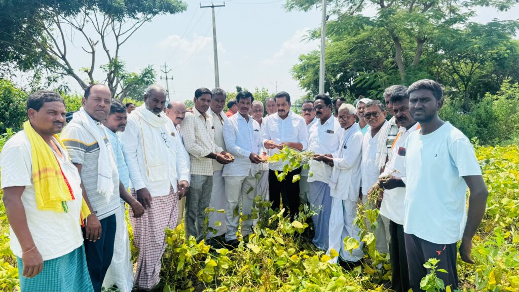 సోయాబీన్ పంట నష్టం పరిశీలన..