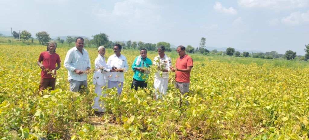 మొలకలు వచ్చిన సోయాబీన్ రైతులను ఆదుకోవాలి