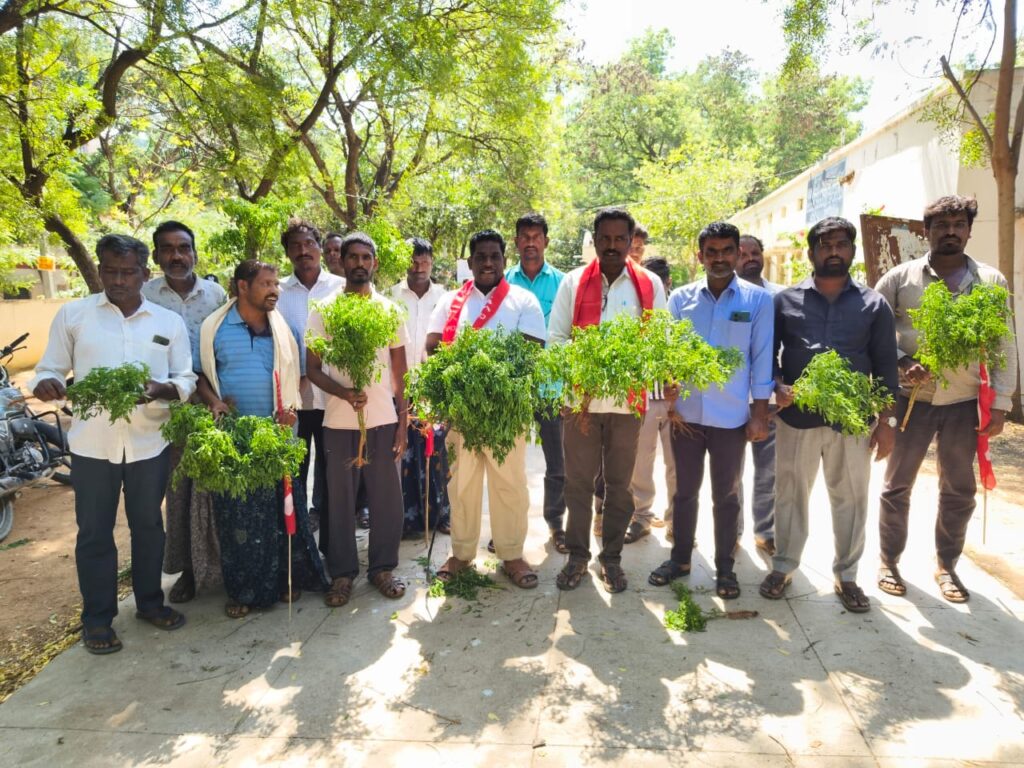 కల్తీ మిర్చి విత్తనాలతో రైతులకు తీవ్ర నష్టం..